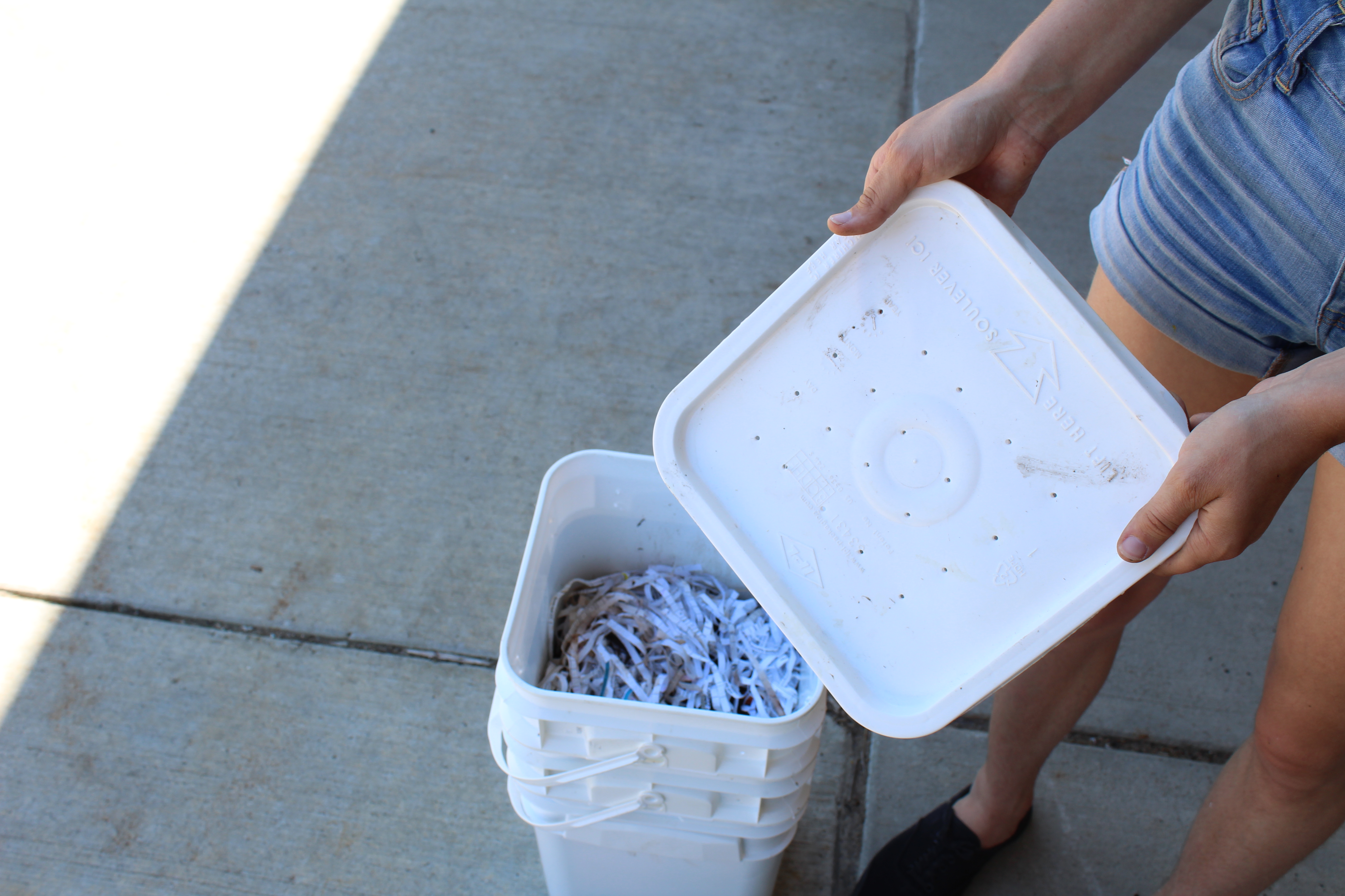 DIY: Worm Composting Bin - MSU Recycling Center